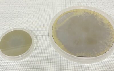 First 4-inch Aluminum Nitride Substrate