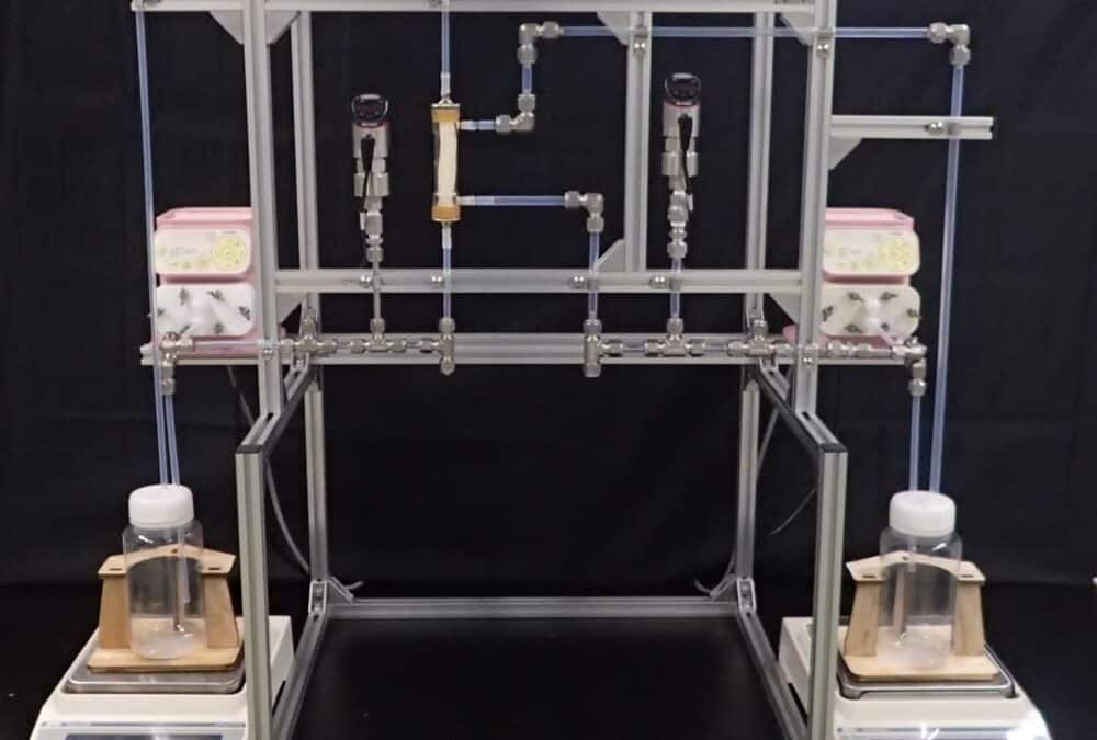 Novel membrane system