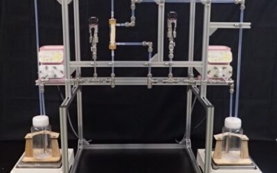 Novel membrane system
