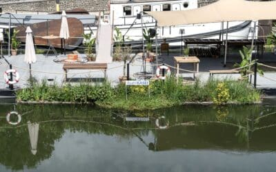 Blaualgenplage – Asahi Kasei Europe und Marina Düsseldorf starten Umwelt-Initiative im Düsseldorfer Hafen